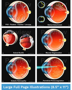 Doctor-Patient Consultation Illustrations